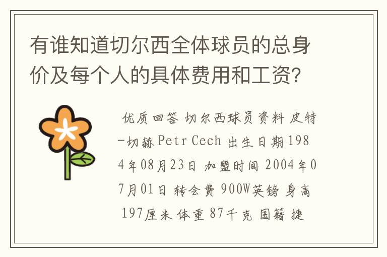 有谁知道切尔西全体球员的总身价及每个人的具体费用和工资?