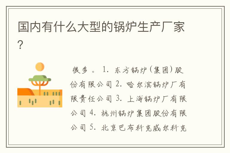 国内有什么大型的锅炉生产厂家?