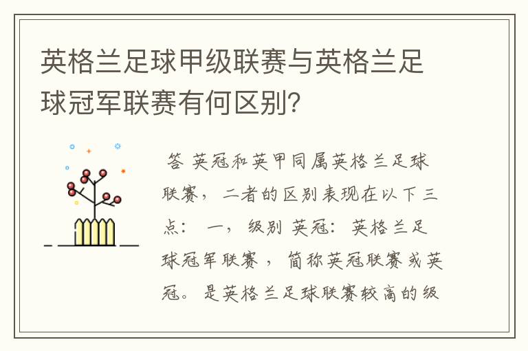英格兰足球甲级联赛与英格兰足球冠军联赛有何区别?