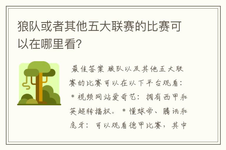 狼队或者其他五大联赛的比赛可以在哪里看?