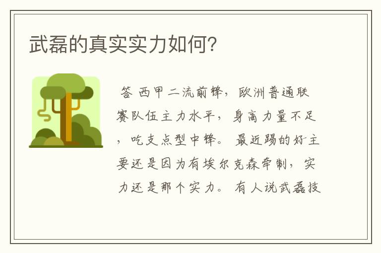 武磊的真实实力如何?