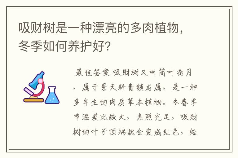 吸财树是一种漂亮的多肉植物,冬季如何养护好?