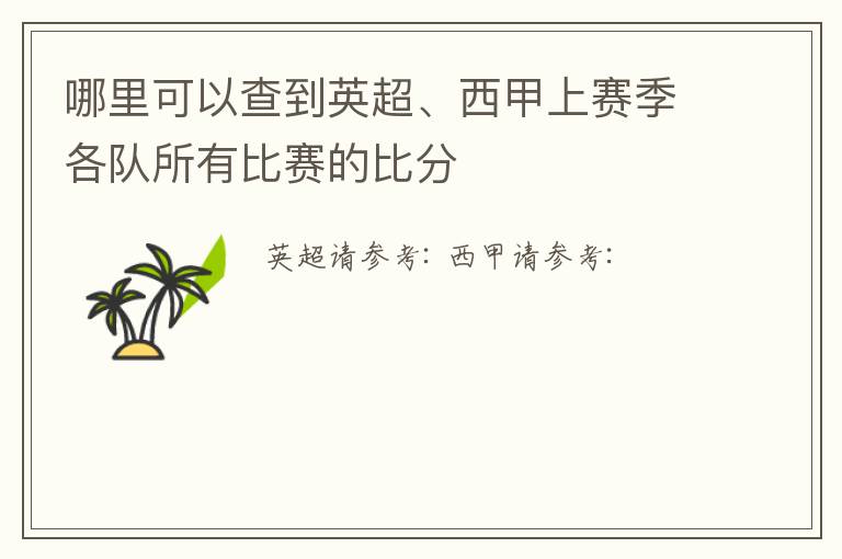 哪里可以查到英超、西甲上赛季各队所有比赛的比分