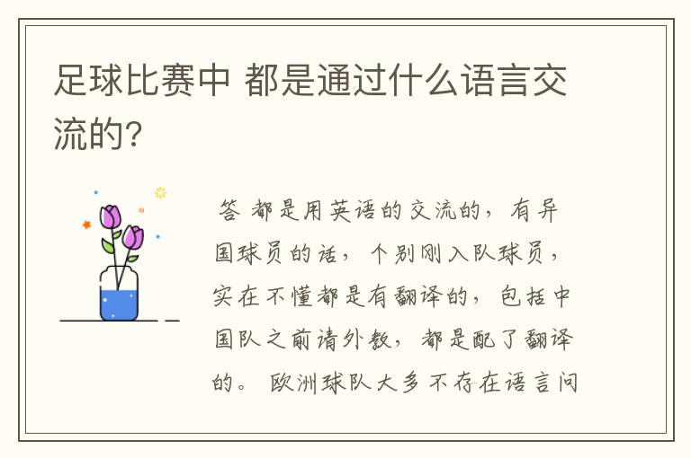 足球比赛中 都是通过什么语言交流的?