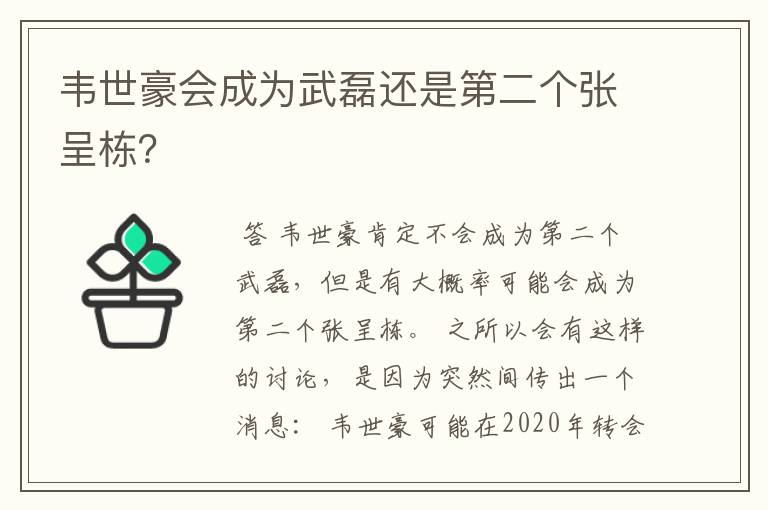 韦世豪会成为武磊还是第二个张呈栋?