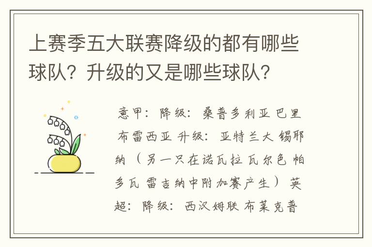 上赛季五大联赛降级的都有哪些球队?升级的又是哪些球队?