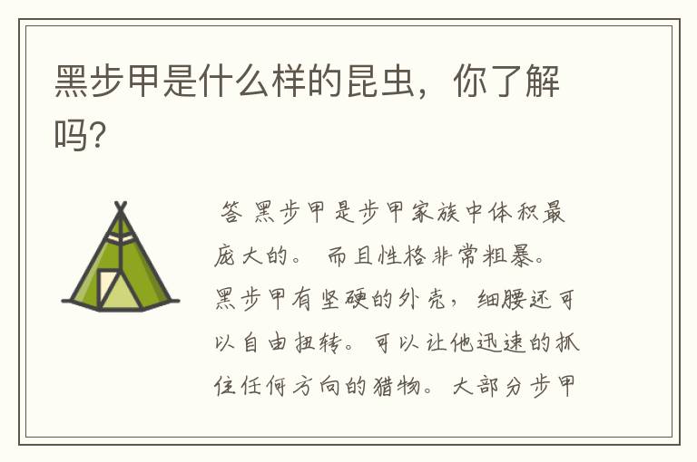黑步甲是什么样的昆虫,你了解吗?