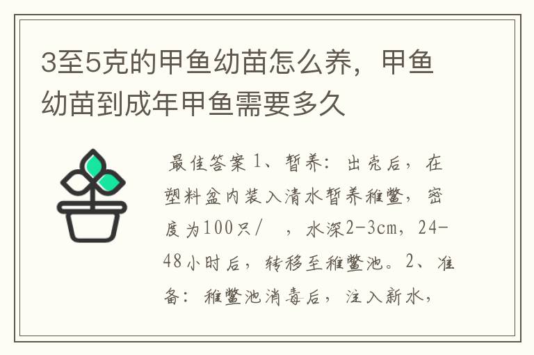 3至5克的甲鱼幼苗怎么养,甲鱼幼苗到成年甲鱼需要多久