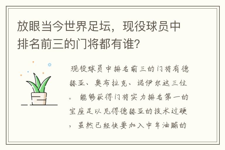 放眼当今世界足坛,现役球员中排名前三的门将都有谁?