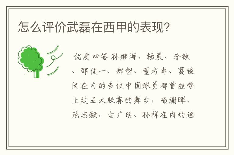 怎么评价武磊在西甲的表现?