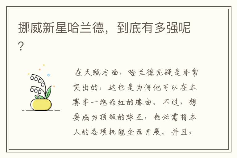 挪威新星哈兰德,到底有多强呢?