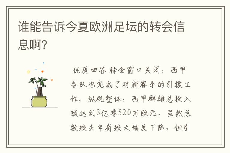 谁能告诉今夏欧洲足坛的转会信息啊?