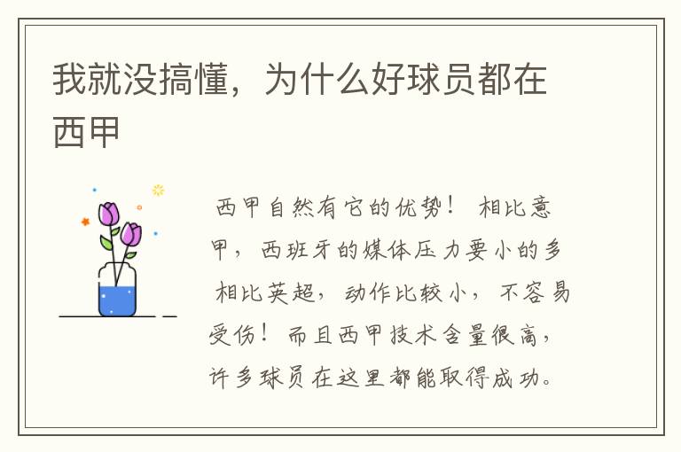 我就没搞懂,为什么好球员都在西甲