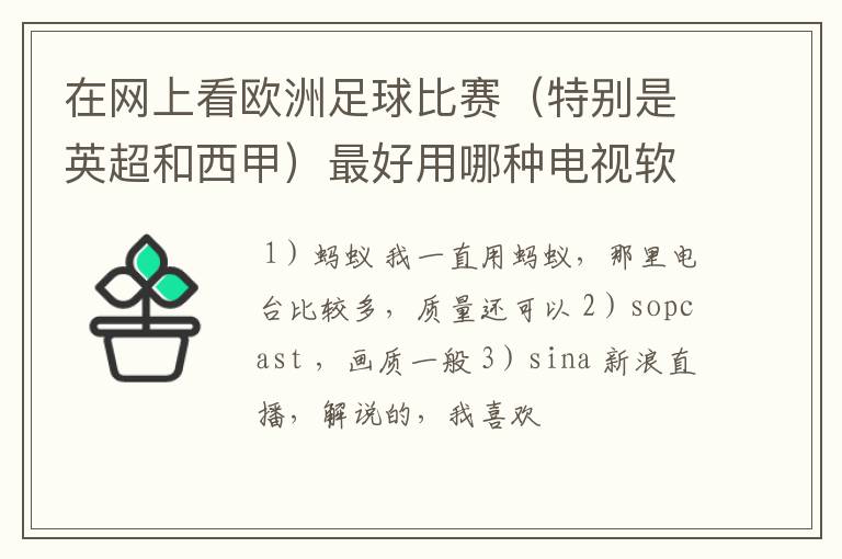 在网上看欧洲足球比赛(特别是英超和西甲)最好用哪种电视软件呢?
