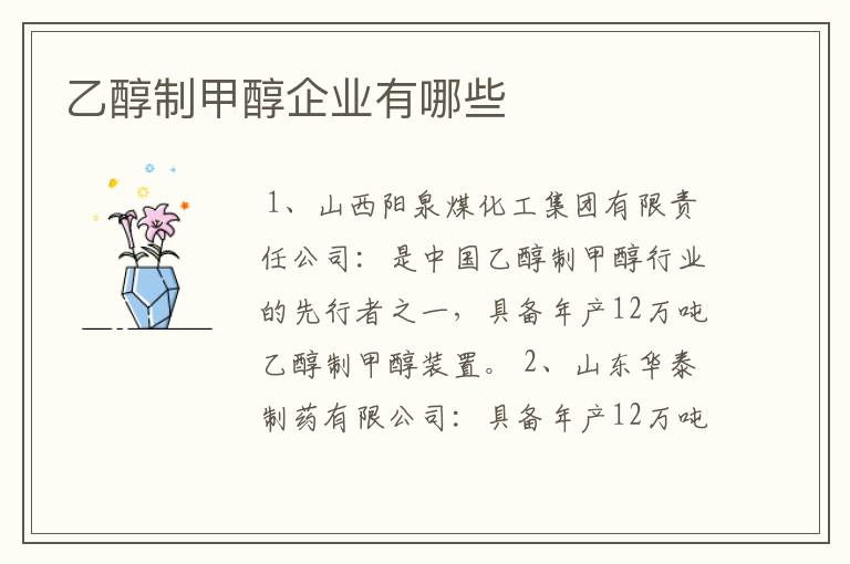 乙醇制甲醇企业有哪些