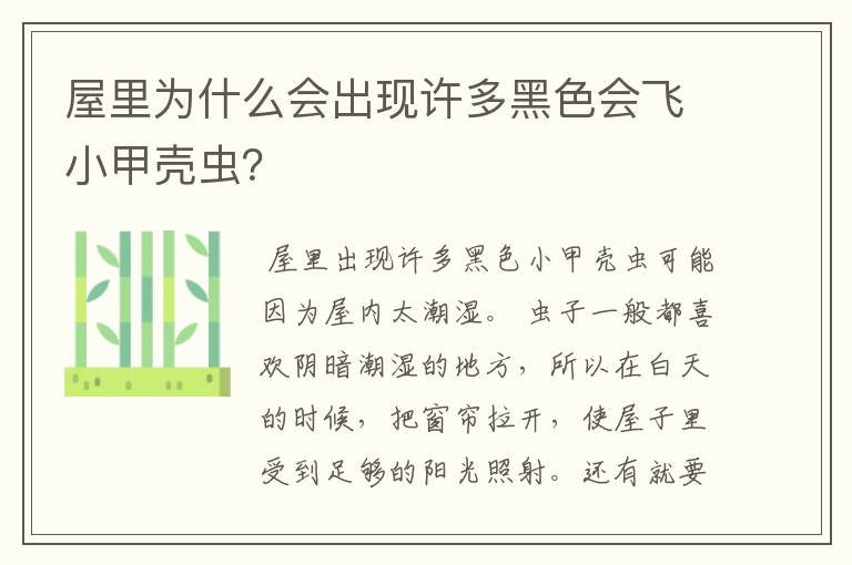 屋里为什么会出现许多黑色会飞小甲壳虫?