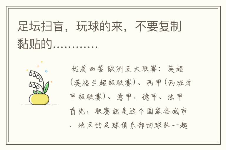 足坛扫盲,玩球的来,不要复制黏贴的…………