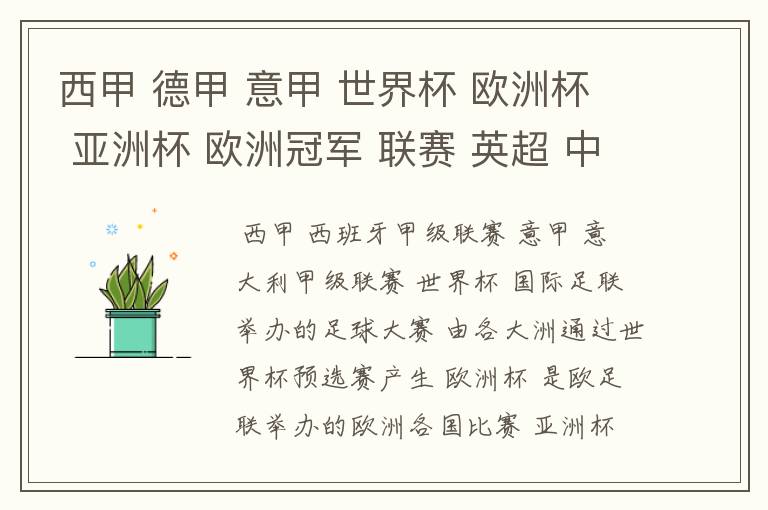 西甲 德甲 意甲 世界杯 欧洲杯 亚洲杯 欧洲冠军 联赛 英超 中超 分别是什么意思啊?