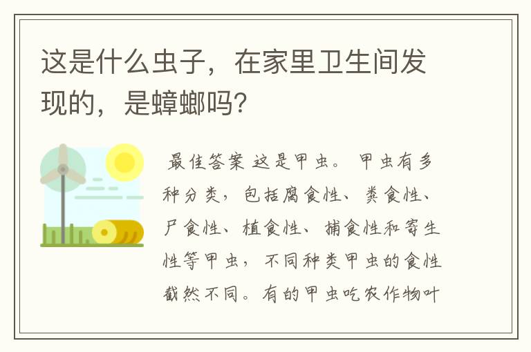 这是什么虫子,在家里卫生间发现的,是蟑螂吗?