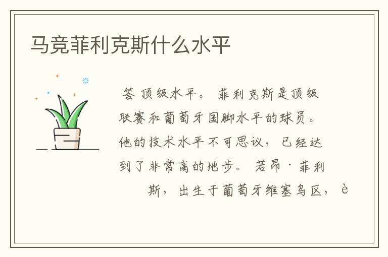 马竞菲利克斯什么水平