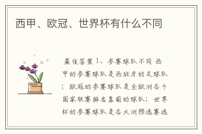 西甲、欧冠、世界杯有什么不同