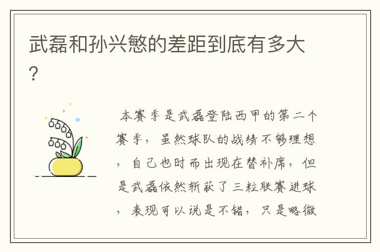 武磊和孙兴慜的差距到底有多大?