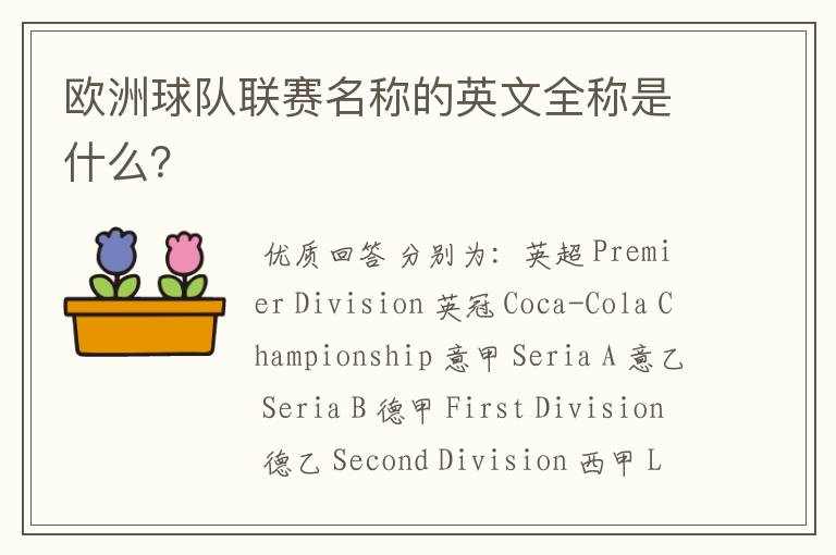 欧洲球队联赛名称的英文全称是什么?