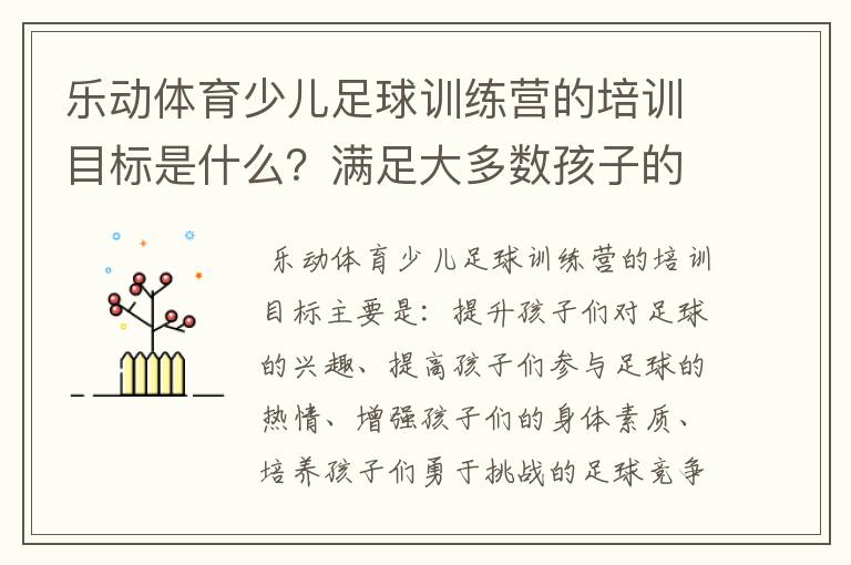 乐动体育少儿足球训练营的培训目标是什么?满足大多数孩子的发展要求吗?