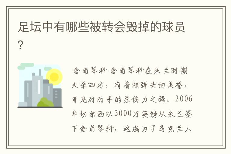 足坛中有哪些被转会毁掉的球员?