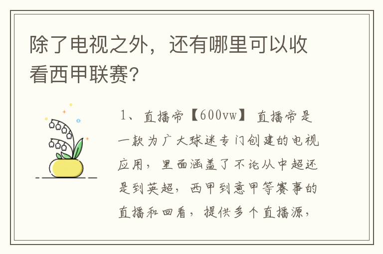 除了电视之外,还有哪里可以收看西甲联赛?