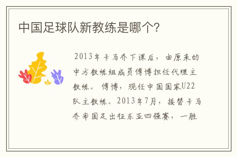 中国足球队新教练是哪个?