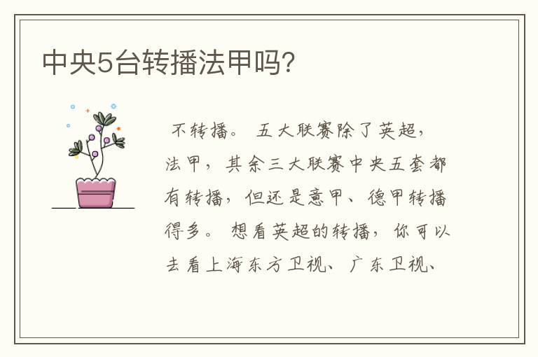 中央5台转播法甲吗?