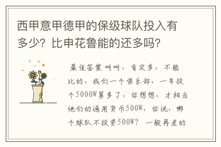 西甲意甲德甲的保级球队投入有多少?比申花鲁能的还多吗?