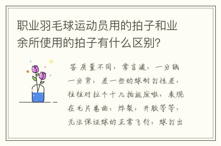 职业羽毛球运动员用的拍子和业余所使用的拍子有什么区别?