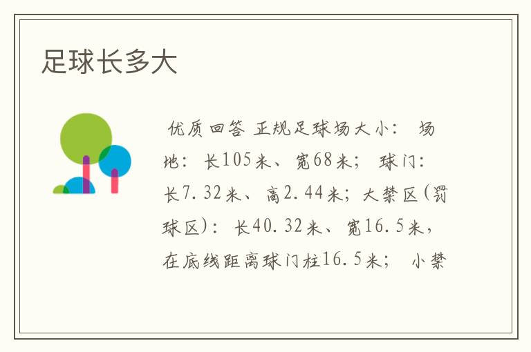 足球长多大