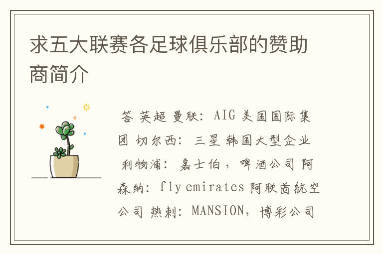 求五大联赛各足球俱乐部的赞助商简介