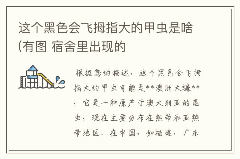 这个黑色会飞拇指大的甲虫是啥(有图 宿舍里出现的