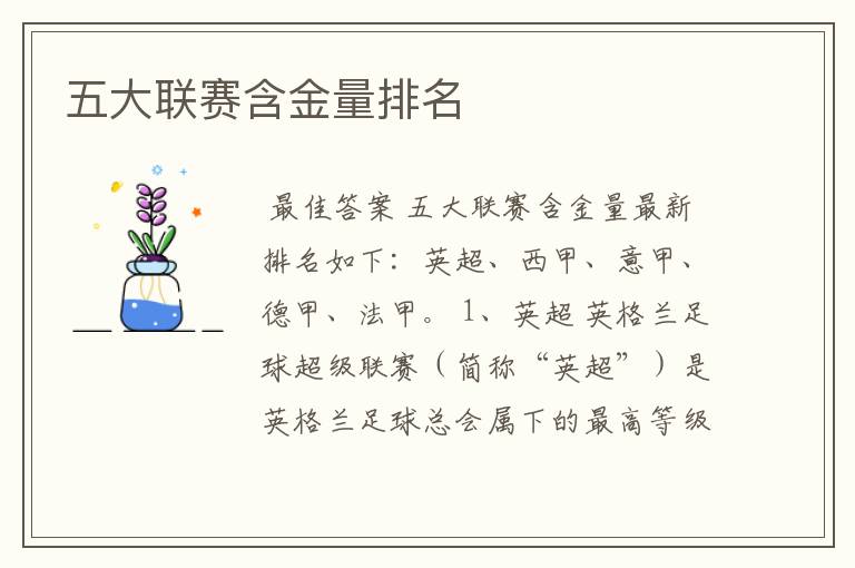 五大联赛含金量排名