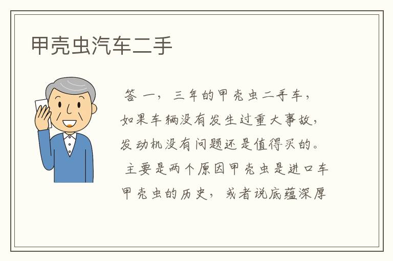 甲壳虫汽车二手