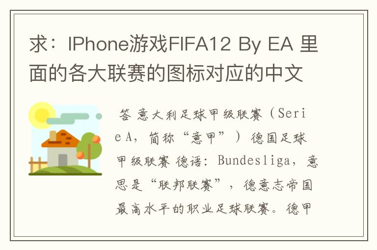 求:IPhone游戏FIFA12 By EA 里面的各大联赛的图标对应的中文名称 例如:Liga BBVA 西甲