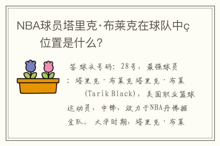 NBA球员塔里克·布莱克在球队中的位置是什么?