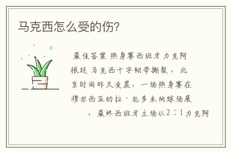 马克西怎么受的伤?