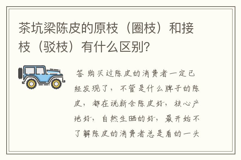 茶坑梁陈皮的原枝(圈枝)和接枝(驳枝)有什么区别?