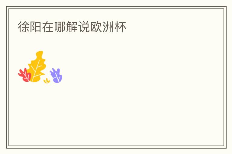 徐阳在哪解说欧洲杯