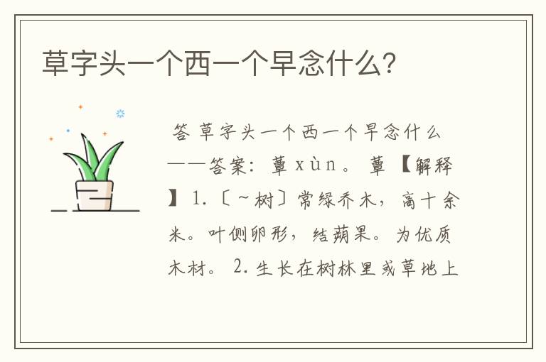 草字头一个西一个早念什么?