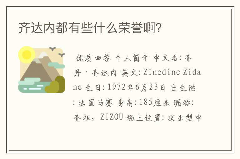 齐达内都有些什么荣誉啊?