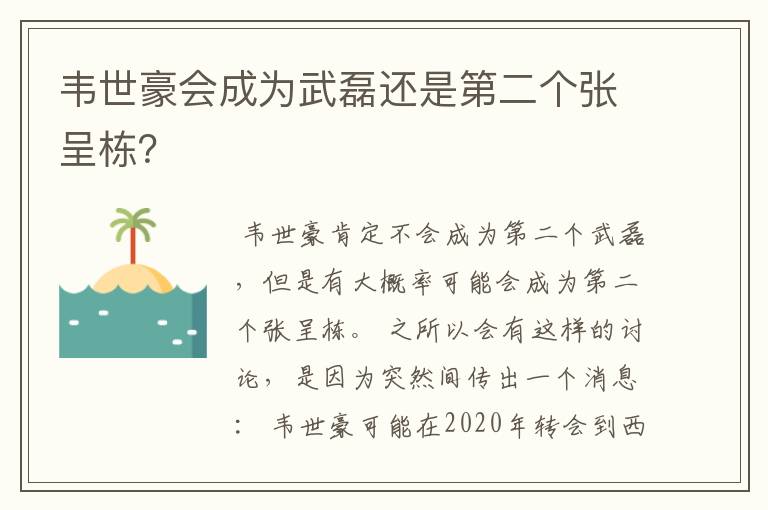 韦世豪会成为武磊还是第二个张呈栋？
