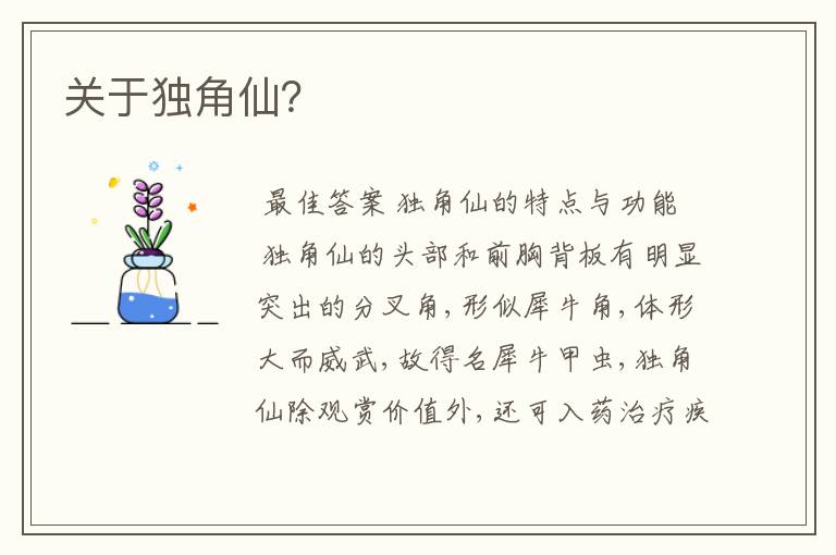 关于独角仙?