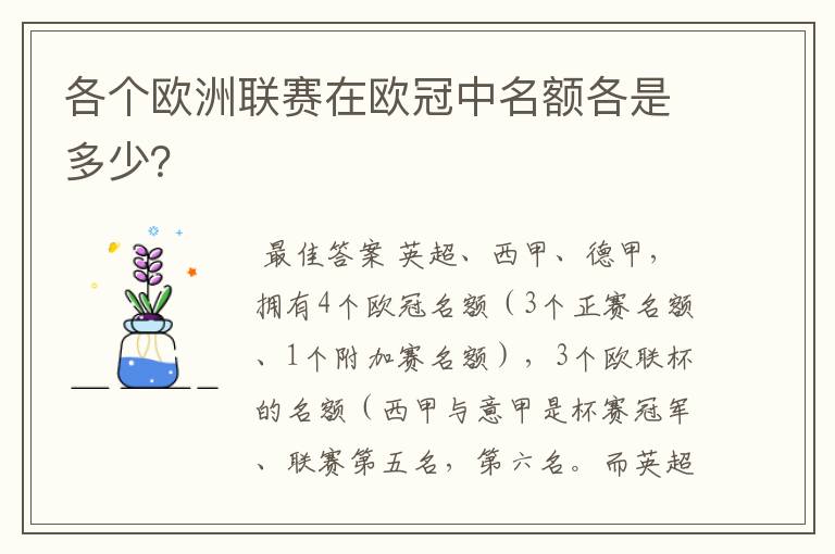 各个欧洲联赛在欧冠中名额各是多少?