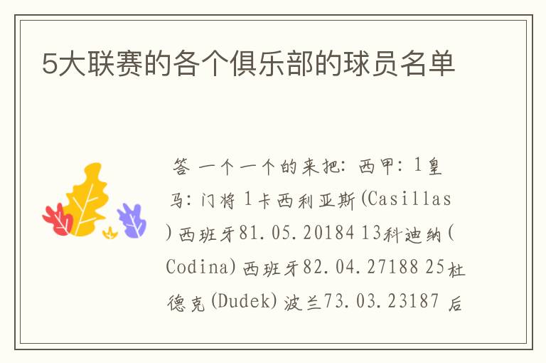 5大联赛的各个俱乐部的球员名单